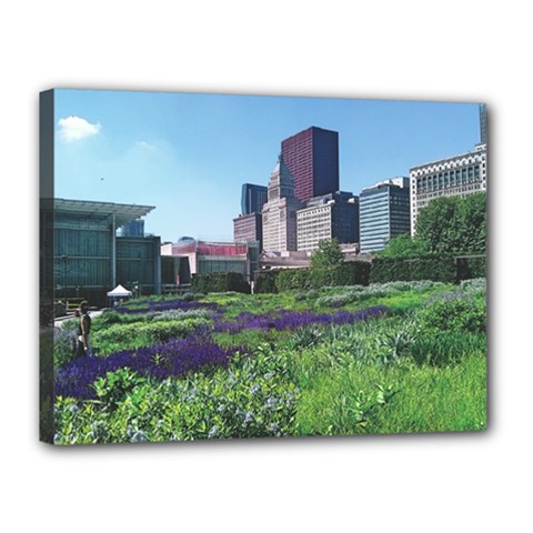 Lurie Garden Salvia River Canvas 16  X 12  (stretched) by Riverwoman