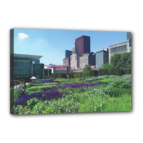 Lurie Garden Salvia River Canvas 18  X 12  (stretched) by Riverwoman