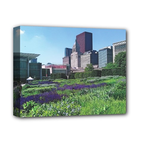 Lurie Garden Salvia River Deluxe Canvas 14  X 11  (stretched) by Riverwoman