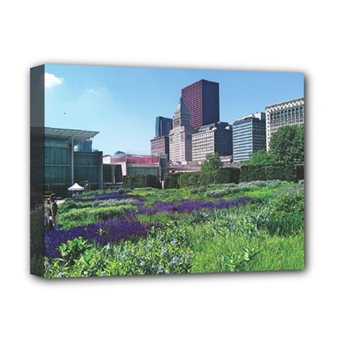 Lurie Garden Salvia River Deluxe Canvas 16  X 12  (stretched)  by Riverwoman