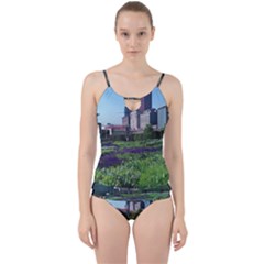 Lurie Garden Salvia River Cut Out Top Tankini Set by Riverwoman