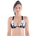 Geometric landscape Plunge Bikini Top View1