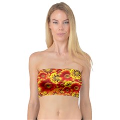 Brilliant Orange And Yellow Daisies Bandeau Top by retrotoomoderndesigns