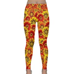 Brilliant Orange And Yellow Daisies Lightweight Velour Classic Yoga Leggings by retrotoomoderndesigns