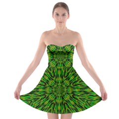 Love The Tulips In The Right Season Strapless Bra Top Dress by pepitasart