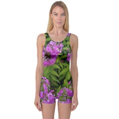 Stratford Garden Phlox One Piece Boyleg Swimsuit by Riverwoman