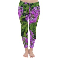 Stratford Garden Phlox Classic Winter Leggings by Riverwoman