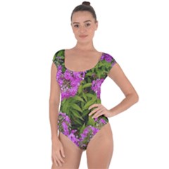 Stratford Garden Phlox Short Sleeve Leotard  by Riverwoman