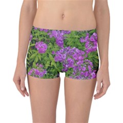 Stratford Garden Phlox Reversible Boyleg Bikini Bottoms by Riverwoman