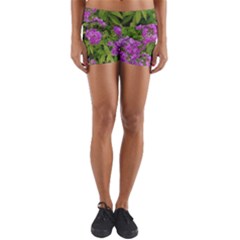 Stratford Garden Phlox Yoga Shorts