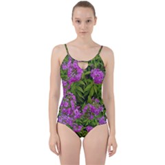 Stratford Garden Phlox Cut Out Top Tankini Set by Riverwoman