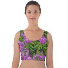 Stratford Garden Phlox Velvet Crop Top by Riverwoman