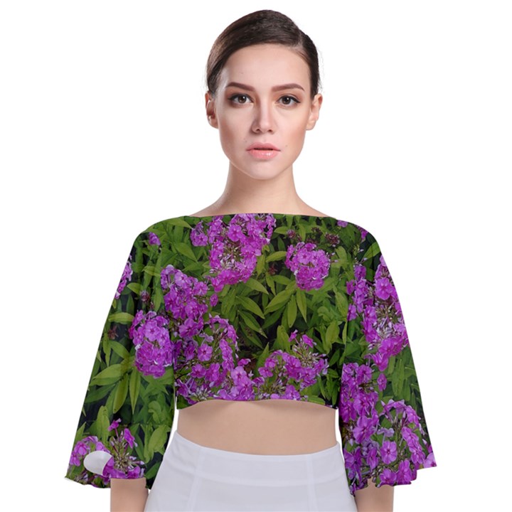 Stratford garden phlox Tie Back Butterfly Sleeve Chiffon Top