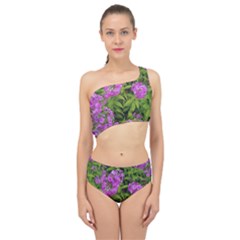 Stratford Garden Phlox Spliced Up Two Piece Swimsuit by Riverwoman