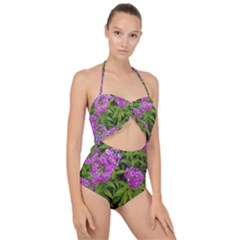 Stratford Garden Phlox Scallop Top Cut Out Swimsuit by Riverwoman