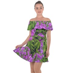 Stratford Garden Phlox Off Shoulder Velour Dress