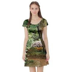 Garden Of The Phoenix Short Sleeve Skater Dress by Riverwoman