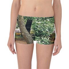 Garden Of The Phoenix Reversible Boyleg Bikini Bottoms by Riverwoman