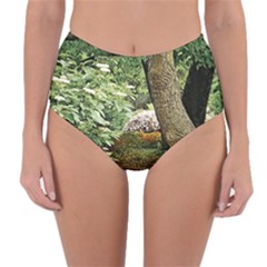 Garden Of The Phoenix Reversible High-waist Bikini Bottoms by Riverwoman