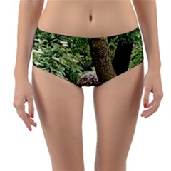 Garden Of The Phoenix Reversible Mid-waist Bikini Bottoms by Riverwoman