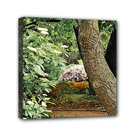 Garden Of The Phoenix Mini Canvas 6  X 6  (stretched) by Riverwoman