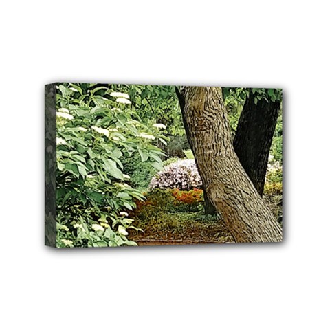 Garden Of The Phoenix Mini Canvas 6  X 4  (stretched) by Riverwoman