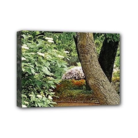 Garden Of The Phoenix Mini Canvas 7  X 5  (stretched) by Riverwoman