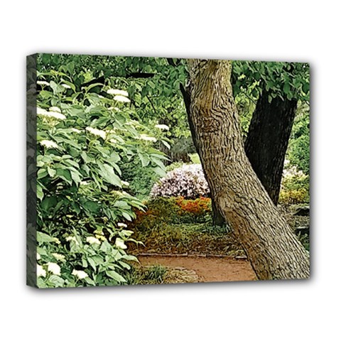 Garden Of The Phoenix Canvas 14  X 11  (stretched) by Riverwoman