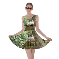 Garden Of The Phoenix Skater Dress by Riverwoman