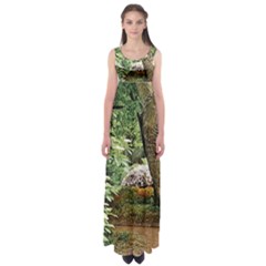 Garden Of The Phoenix Empire Waist Maxi Dress by Riverwoman