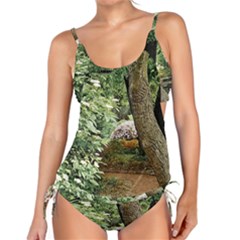 Garden Of The Phoenix Tankini Set by Riverwoman