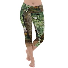 Garden Of The Phoenix Lightweight Velour Capri Yoga Leggings by Riverwoman