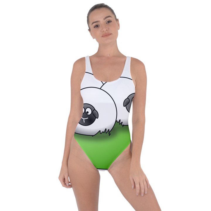 Sheep Agriculture Hill Group Flock Bring Sexy Back Swimsuit