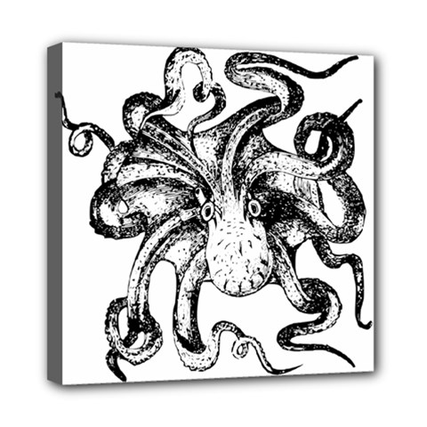 Animal Game Asset Call Invertebrate Mini Canvas 8  X 8  (stretched) by Wegoenart