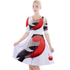 Red Robin Berry Red Berries Bird Quarter Sleeve A-line Dress by Wegoenart