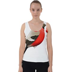 Red Robin Berry Red Berries Bird Velvet Tank Top by Wegoenart