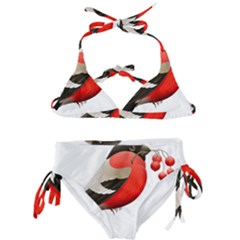 Red Robin Berry Red Berries Bird Kids  Classic Bikini Set