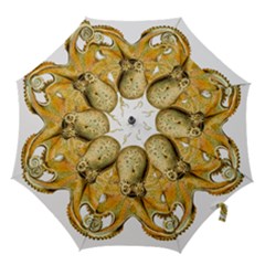 Animal Art Forms In Nature Clips Hook Handle Umbrellas (small) by Wegoenart