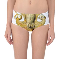 Animal Art Forms In Nature Clips Mid-waist Bikini Bottoms by Wegoenart