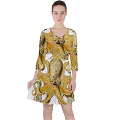 Animal Art Forms In Nature Clips Ruffle Dress