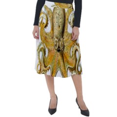 Animal Art Forms In Nature Clips Classic Velour Midi Skirt 