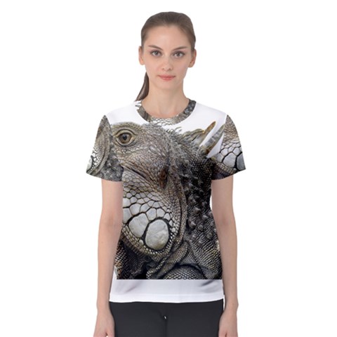 Iguana Portrait Profile Close Up Women s Sport Mesh Tee by Wegoenart