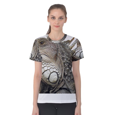 Iguana Portrait Profile Close Up Women s Cotton Tee by Wegoenart