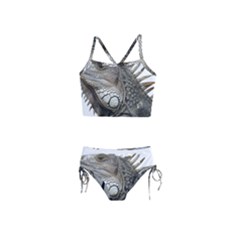 Iguana Portrait Profile Close Up Girls  Tankini Swimsuit