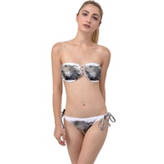 Iguana Portrait Profile Close Up Twist Bandeau Bikini Set