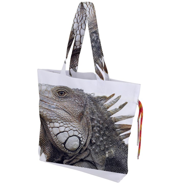 Iguana Portrait Profile Close Up Drawstring Tote Bag