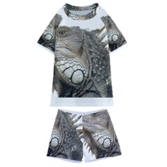 Iguana Portrait Profile Close Up Kids  Swim Tee And Shorts Set