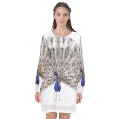 Peacock Colorful Bird Feather Blue Long Sleeve Chiffon Shift Dress 