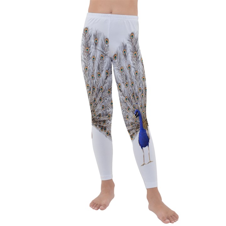 Peacock Colorful Bird Feather Blue Kids  Lightweight Velour Leggings