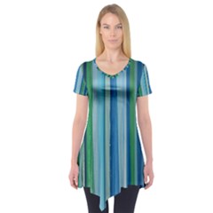 Painted Stripe Short Sleeve Tunic  by dressshop